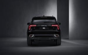 LYNK&Co 01 Xing Pro 2017 года 